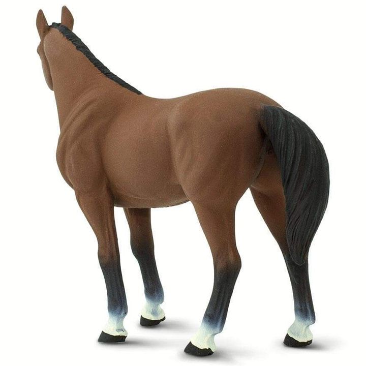 safari-quarter-horse-gelding-satamasho-figura-photo-2