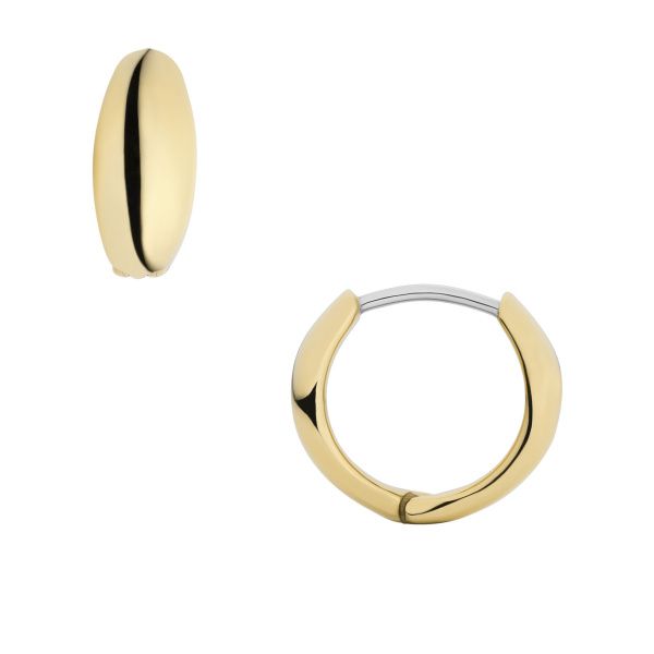 fossil-jf04741710-qalis-saqure