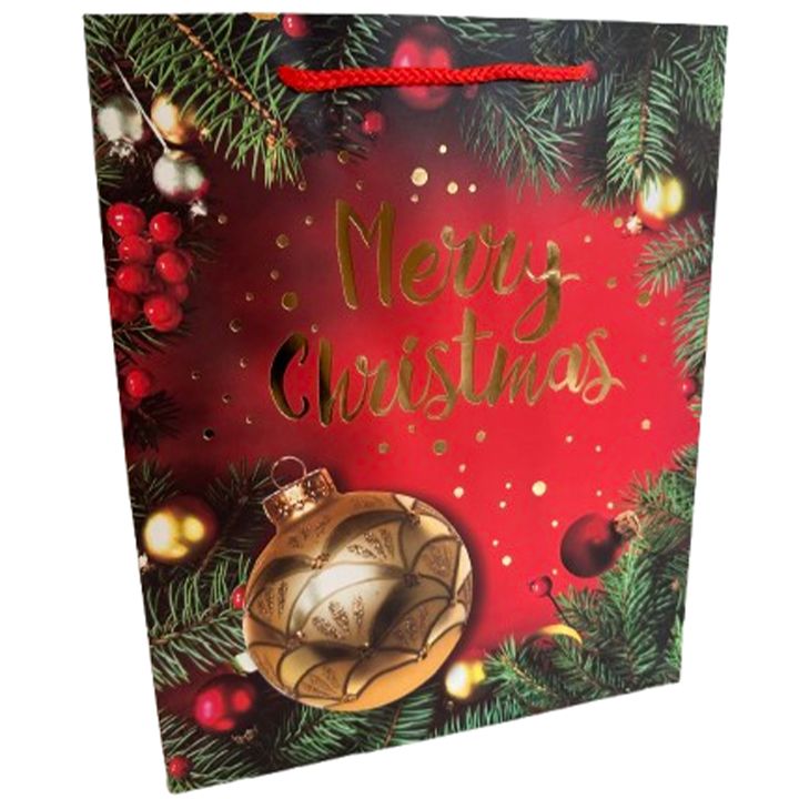 saakhaltslo-sasachuqre-chanta-merry-christmas-photo-2