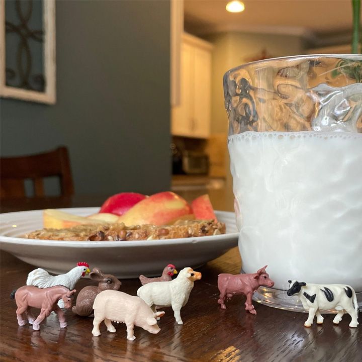 safari-fun-pack-farm-satamasho-figurebi-photo-3