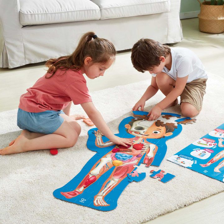 hape-human-body-puzzle-adamianis-skheulis-tavsatekhi-photo-2