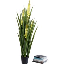 Product image of KARE ხელოვნური მცენარე