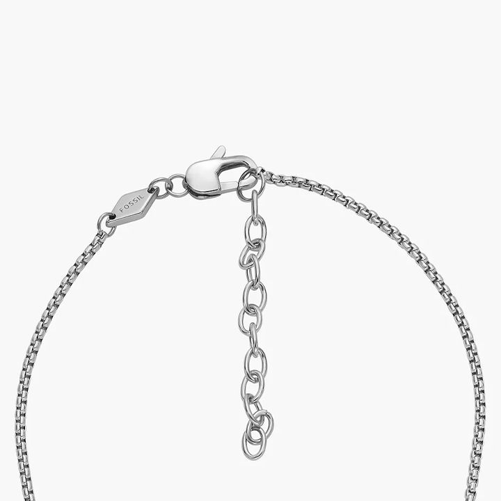 fossil-jf04466040-mamakatsis-qelsabami-photo-4