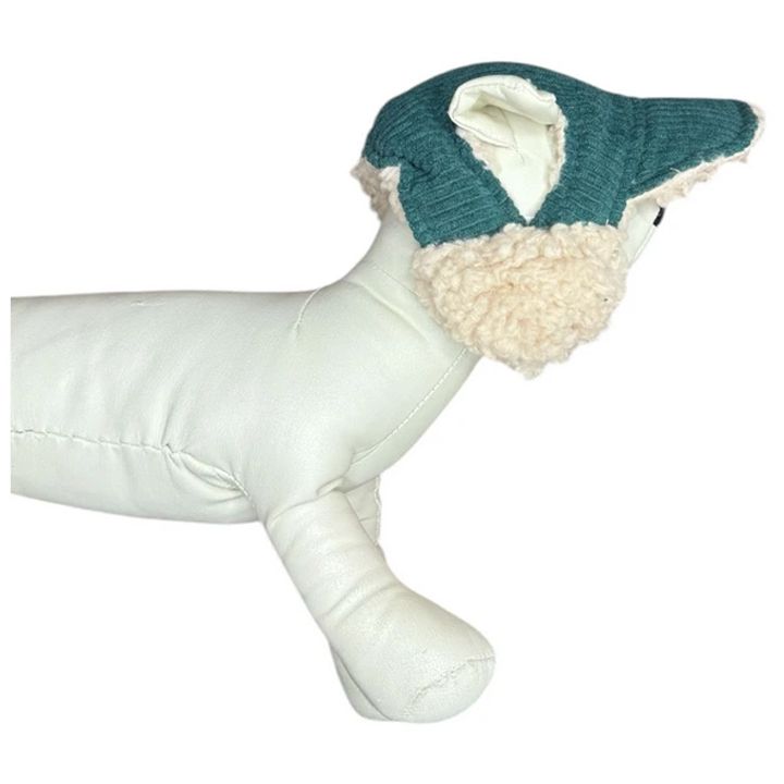 petsup-dzaghlis-qudi