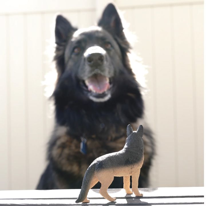 safari-german-shepherd-toy-satamasho-figura-photo-4