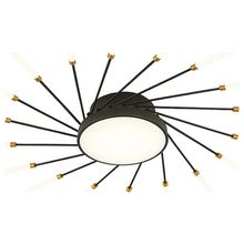 Product image of BELLA MITA C9105-18+1 პულტით 66W შავი ოქროსფერი LED ჭაღი