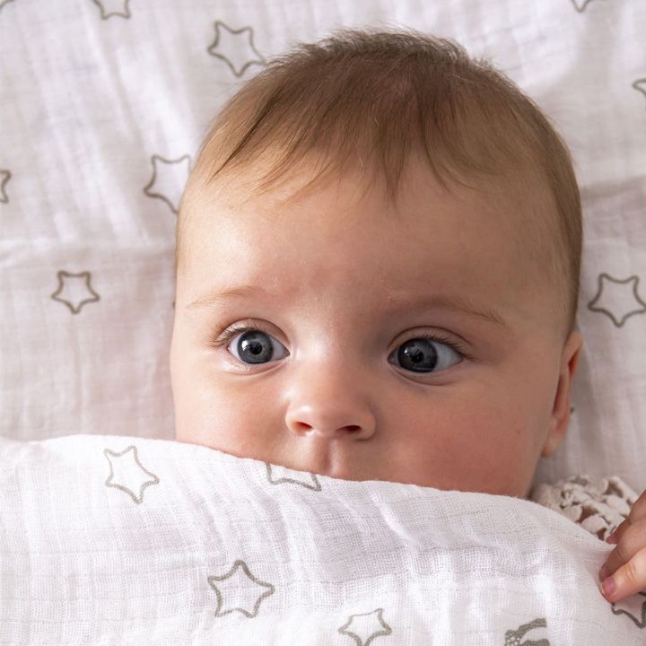 sophie-la-girafe-sophisticated-sasachuqre-nakrebi-0-photo-3