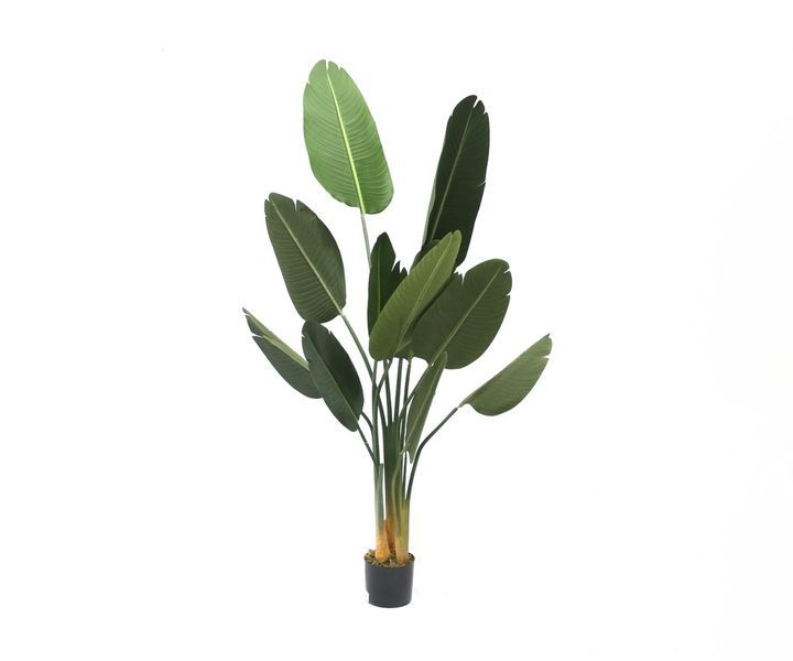 laboratory-my-home-khelovnuri-mtsenare