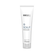 Product image of Framesi Morphosis Scalp Exfoliate სკალპის ექსფოლიანტი