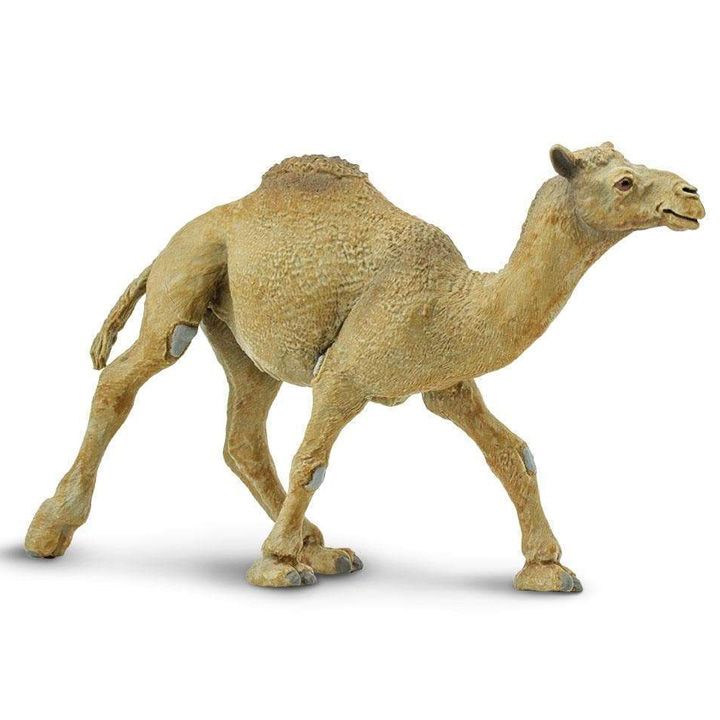 safari-dromedary-camel-toy-satamasho-figura