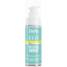 Product image of Delia Cosmetic COOL MINT 30მლ მაკიაჟის დამატენიანებელი ბაზა