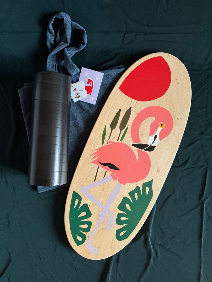 balansis-dafa-flamingo-photo-3