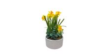 Product image of Nisse ხელოვნური ნარცისები 26 სმ