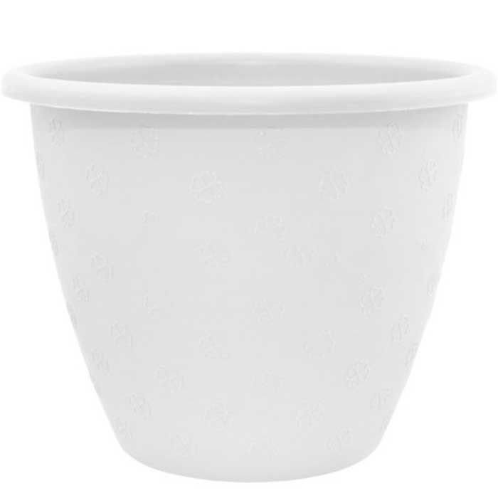 aleana-verona-35x27-sm-tetri-mtsenaris-plastmasis-qotani