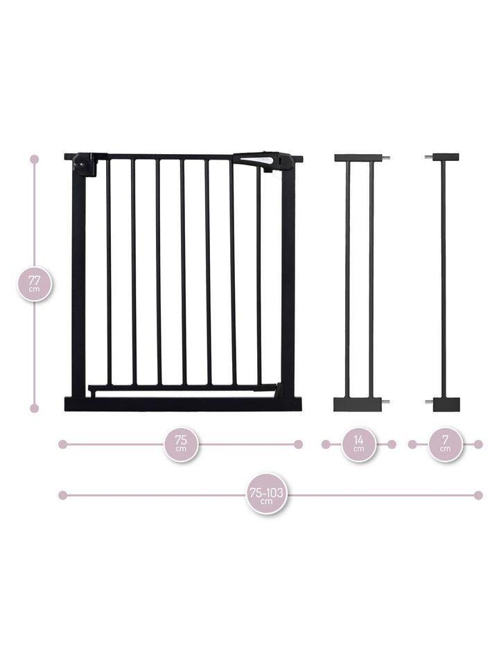 momi-paxi-damtsavi-jebiri-photo-4