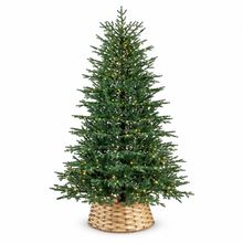 Product image of ნაძვის ხე ჟენევა 180 სმ (BX-180)