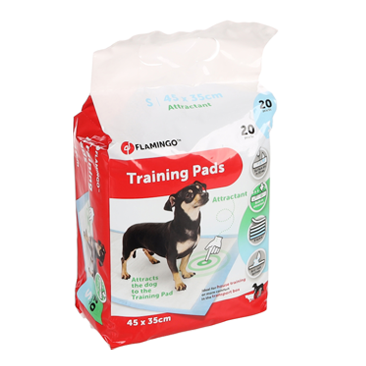 flamingo-satsrtvneli-safeni