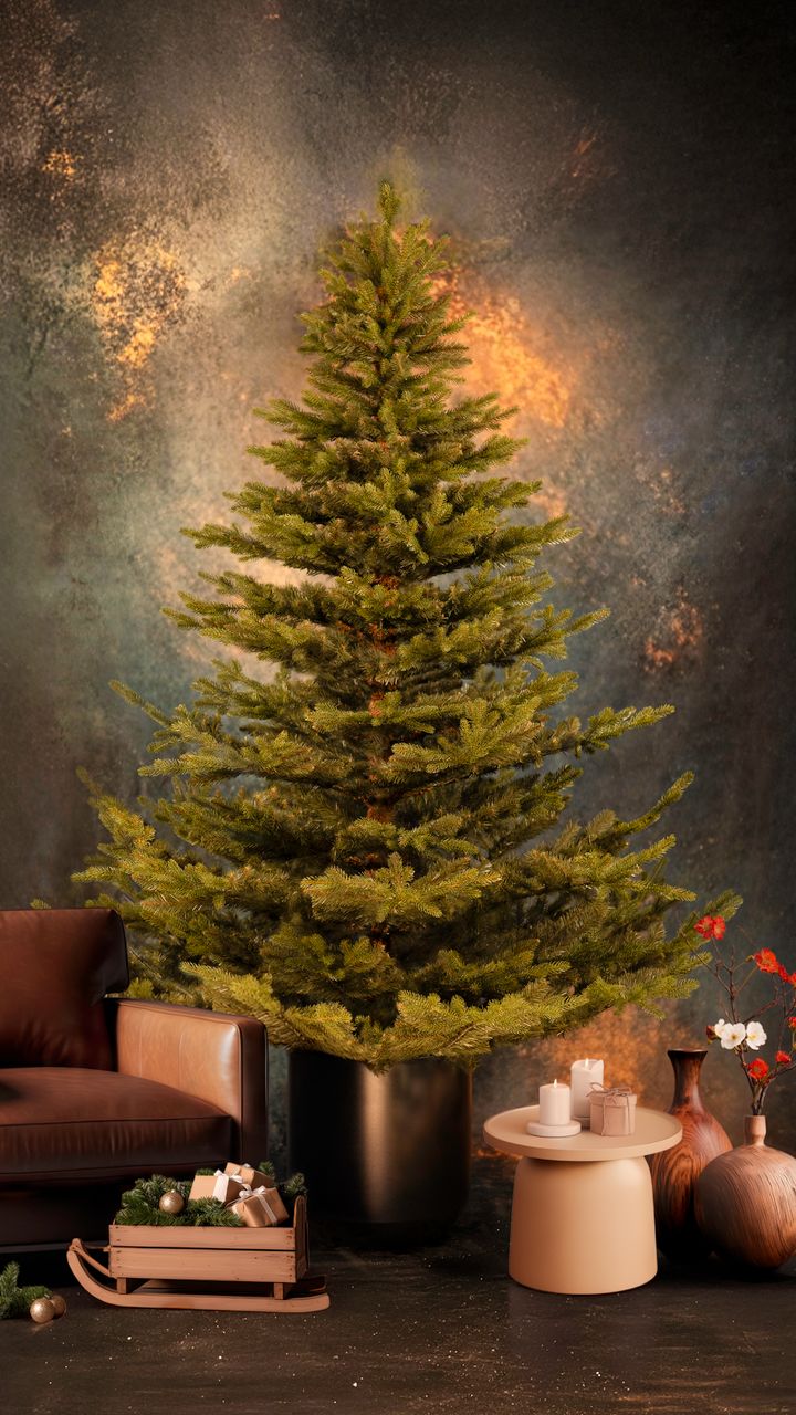 malali-220sm---dizaineruli-nadzvis-khe-shako-da-ninosgan-photo-2