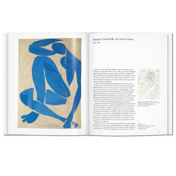 volkmar-essers---matisse-photo-2
