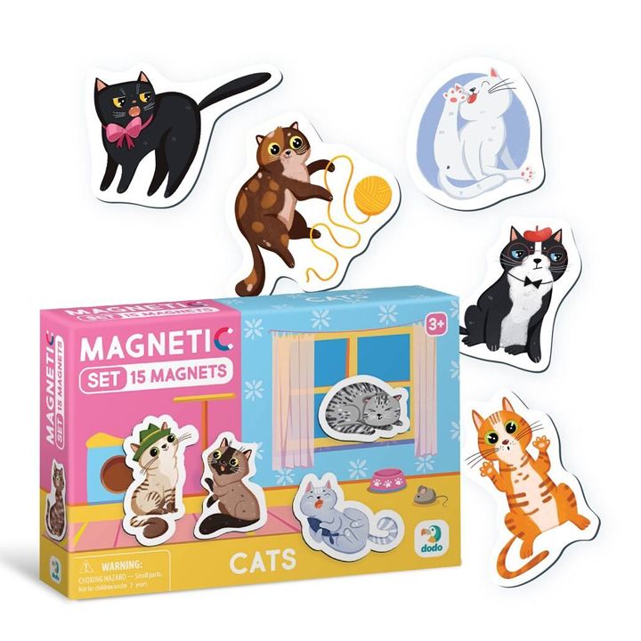 satamasho-magnitebi-fisuniebi