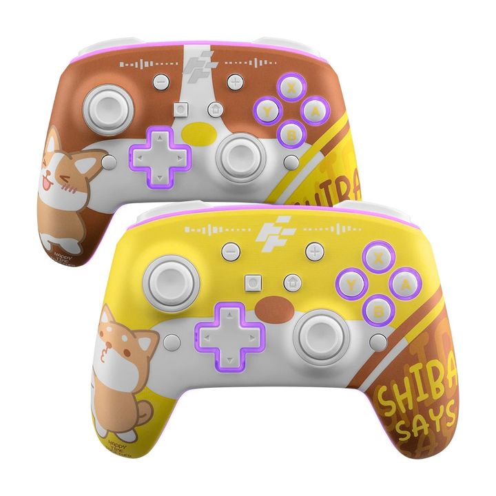 flashfire-master-controller-s203sh-usadeno-kontroleri