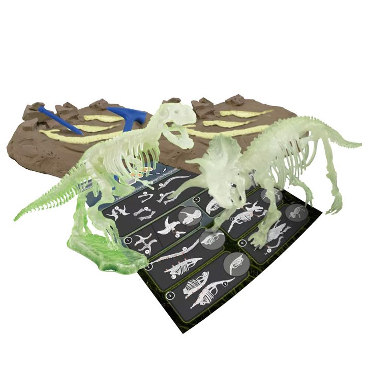 science4you-sametsniero-nakrebi-photo-2