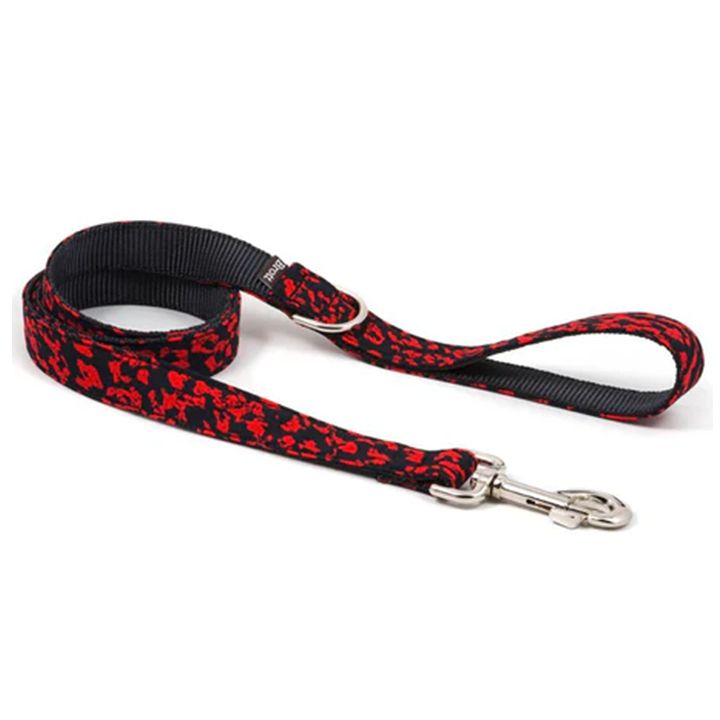 brott-dzaghlis-saqelo