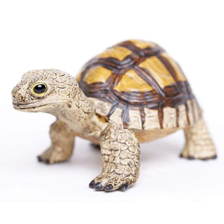 safari-tortoise-toy-satamasho-figura-photo-2