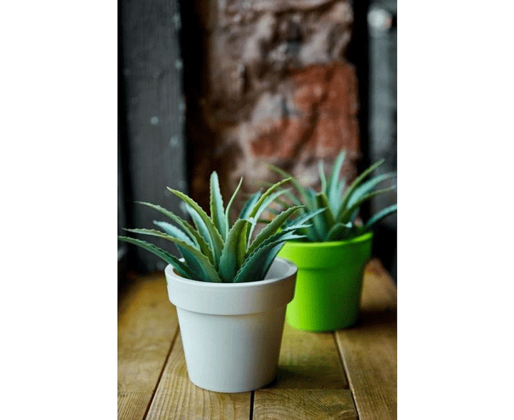 gamma-2622sm-kakao-plastmasis-qotani-photo-3