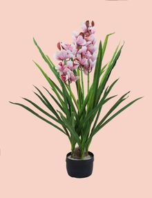 Product image of ხელოვნური მცენარე ორქიდეა