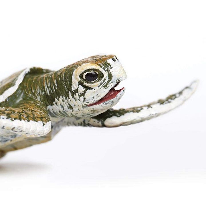 safari-kemps-ridley-sea-turtle-baby-satamasho-figura-photo-2