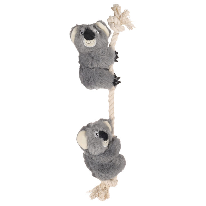 flagino-dt-hangta-koala-dzaghlis-satamasho