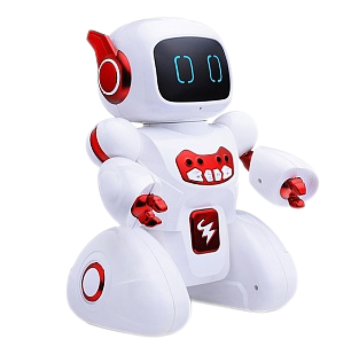 satamasho-roboti-chkviani-photo-2