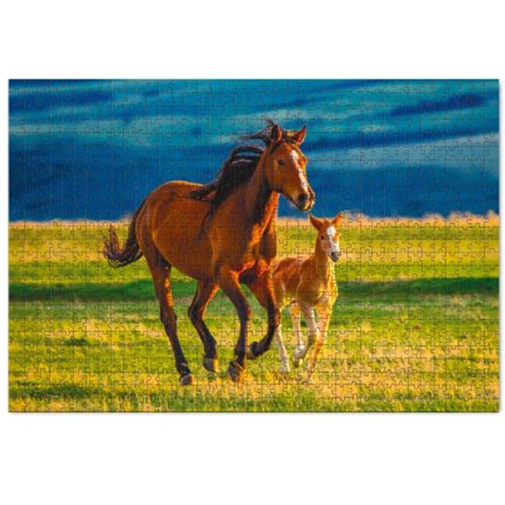 dodo-fazli-kvitsis-varjishi-photo-2