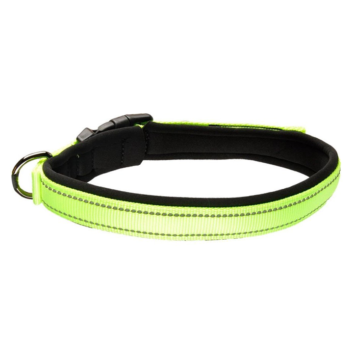 flamingo-dzaghlis-saqelo