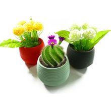 Product image of Serinova S05 19019 პლასტმასის ქოთანი