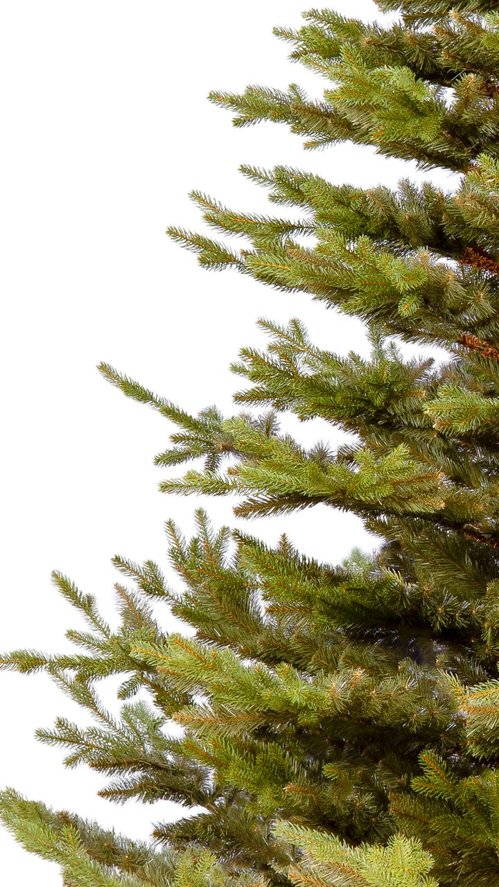 malali-220sm---dizaineruli-nadzvis-khe-shako-da-ninosgan-photo-3