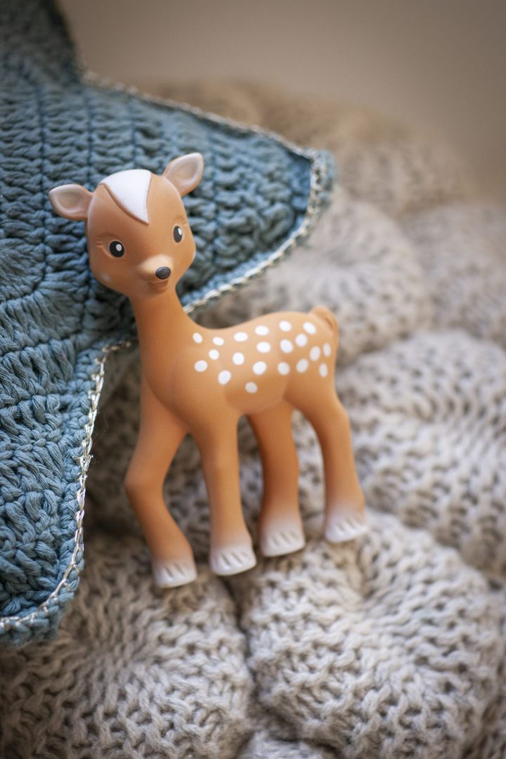 sophie-la-girafe-iremi-fanfani-photo-2