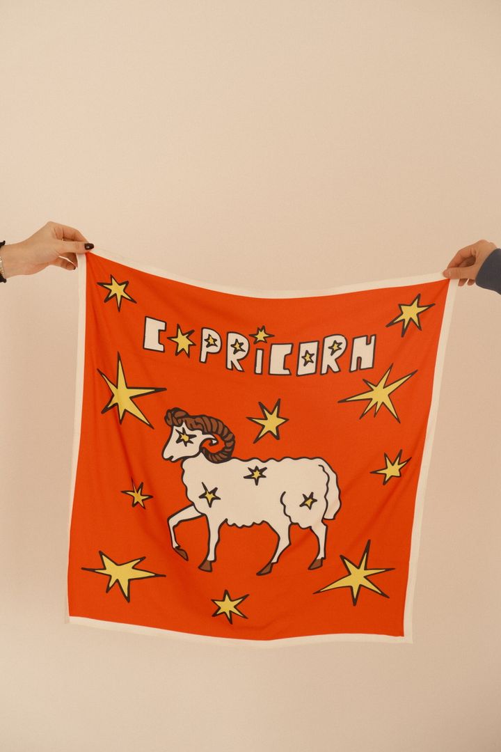 abreshumis-zodiaqos-sharfi--capricorn-photo-2