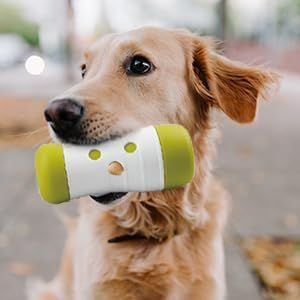 all-for-paws-interactives-dzaghlis-satamasho-photo-4