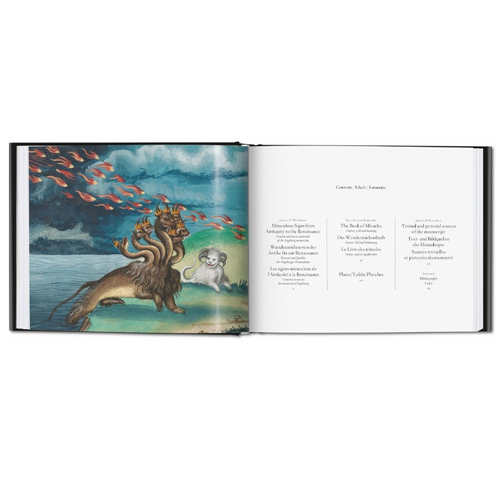 joshua-p-waterman-till-holger-borchert-ju-book-of-miracles-photo-4