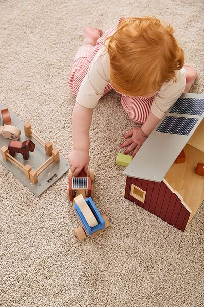 kids-concept-satamasho-fermis-sakhli-photo-4