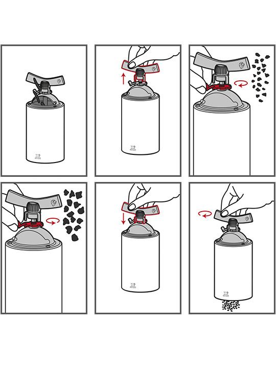 peugeot-safqvavi-pilpilis-martsvlebistvis-photo-3