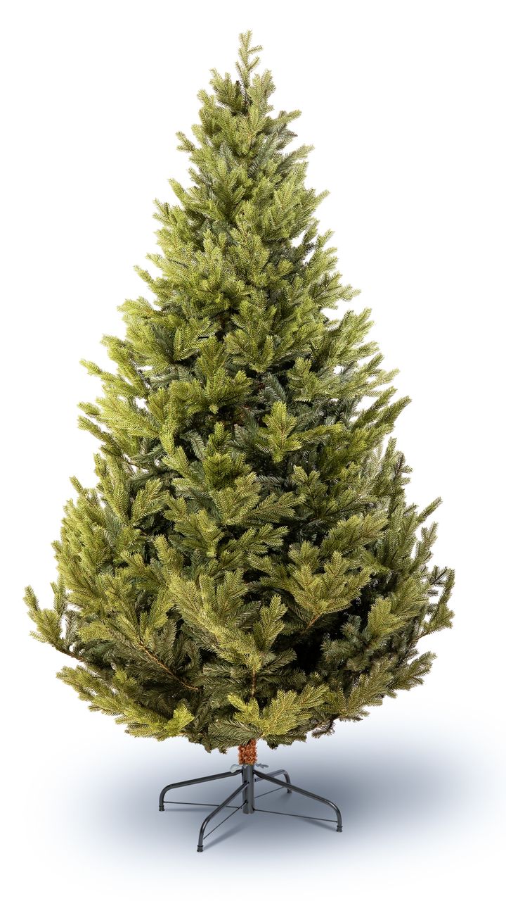 narnari-250sm---dizaineruli-nadzvis-khe-shako-da-ninosgan