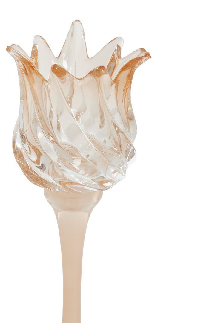 laboratory-my-home-sasantle-photo-2