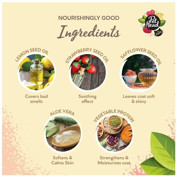 pet-head-felin-good-katis-mshrali-shampuni-photo-4