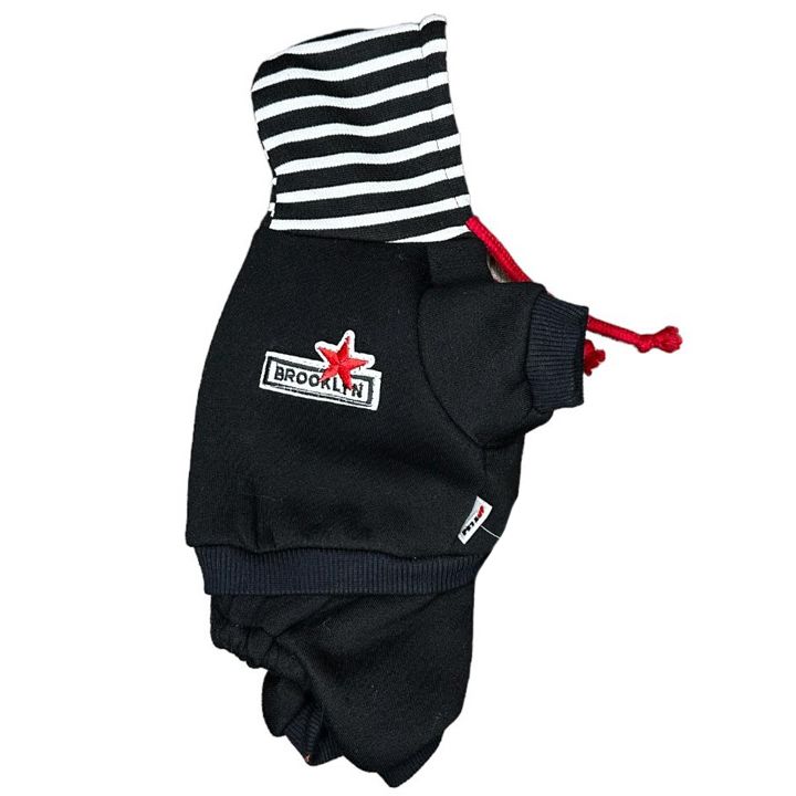 petsup-dzaghlis-katis-tansatsmeli