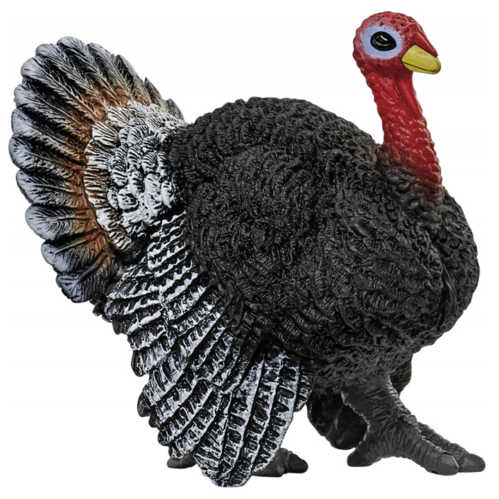 schleich-turkey-indauri-photo-3