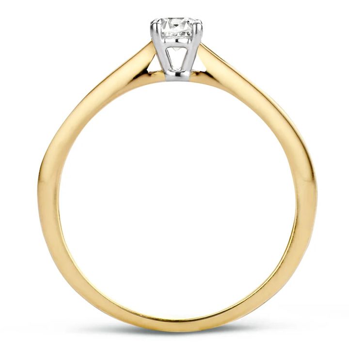 blush-1187bzi52-blush-bechedi-photo-2