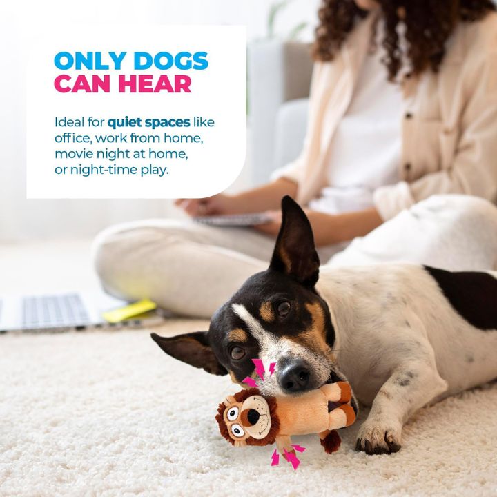 all-for-paws-ultrasonic-rbili-satamasho-photo-2